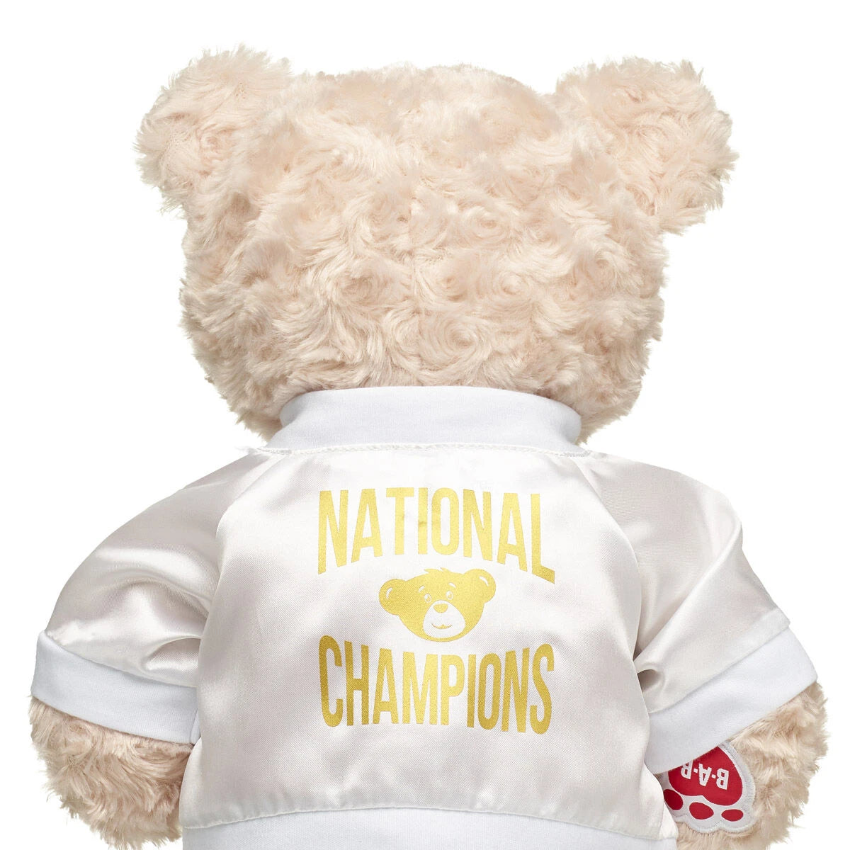 Varsity Spirit National Champions Jacket | Build-A-Bear® - US 6299