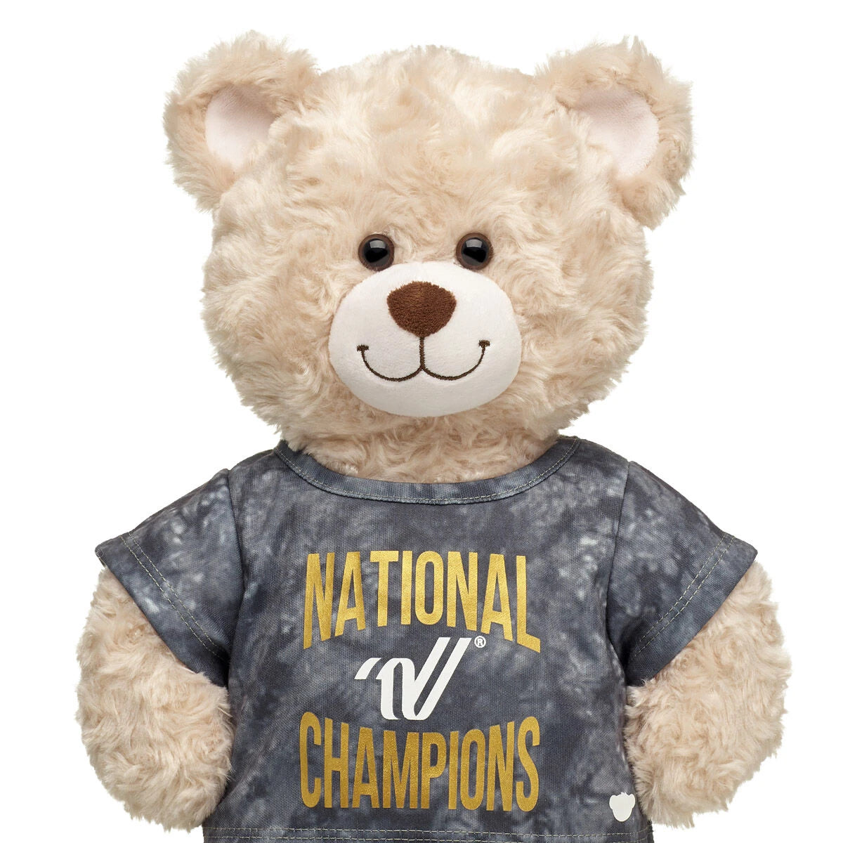 Varsity Spirit National Champions T-Shirt | Build-A-Bear® - US 7591