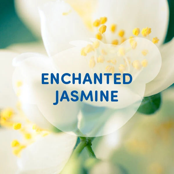 Enchanted Jasmine Scent - US 6148
