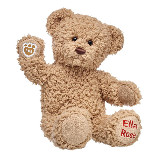 Embroidered Teddy Bear | Online Exclusive Gift | Shop at Build-A-Bear® - US 6744