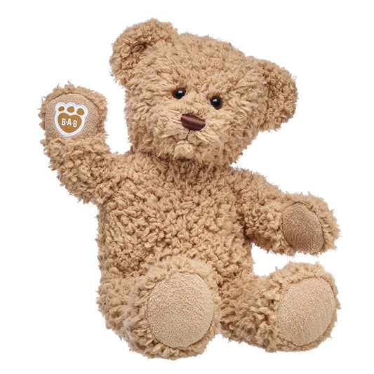 Indianapolis Colts Timeless Teddy Bear Football Gift Set - US 9993