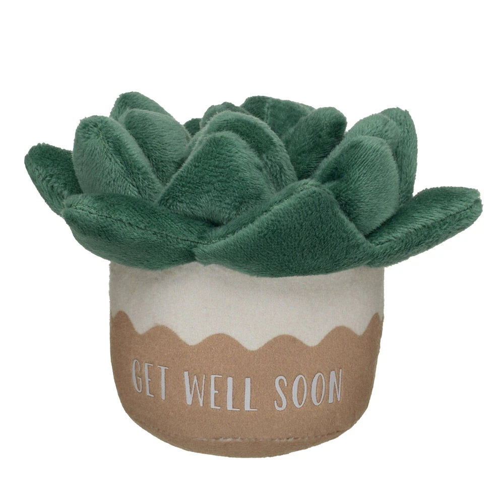 HB GET WELL PLANT - US 7739