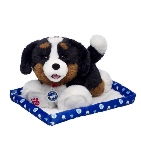 Promise Pets Bernese Mountain Dog Stuffed Animal w/ Blue Bed | Build-A-Bear - US 9756