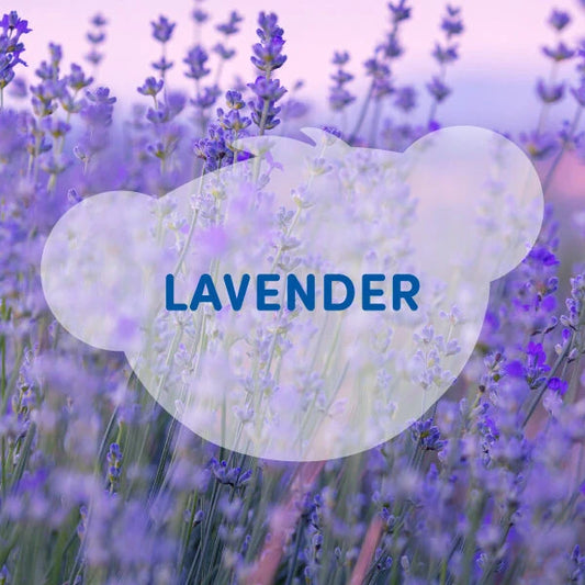 SCENTiments™ Lavender Scent for Stuffed Animals | Build-A-Bear® - US 3098