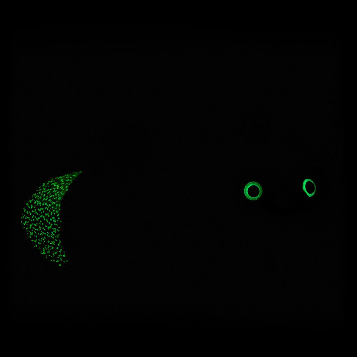 Glow-in-the-Dark Lightning Bug Stuffed Animal | BAB - US 1079