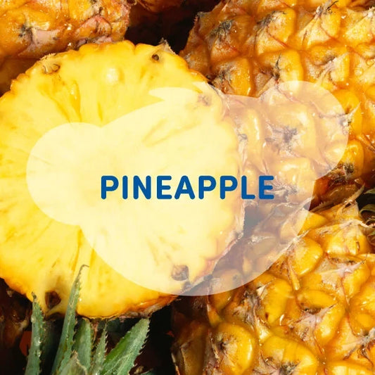 SCENTiments™ Fresh Pineapple Scent for Stuffed Animals | Build-A-Bear® - US 0638