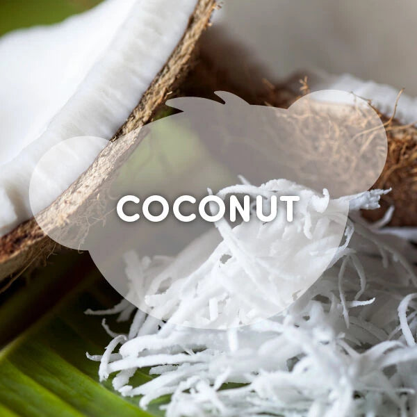 SCENTiments™ Coconut Scent for Stuffed Animals | Shop at Build-A-Bear® - US 0798