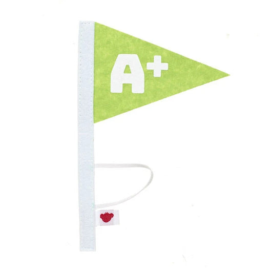 A+ Flag Wristie for Stuffed Animals | Build-A-Bear® - US 3977