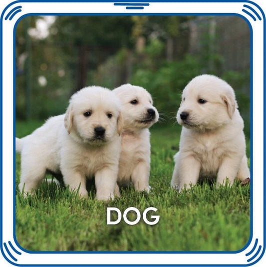 Puppy 5-in-1 Sound for Stuffed Animals | Build-A-Bear® - US 3146