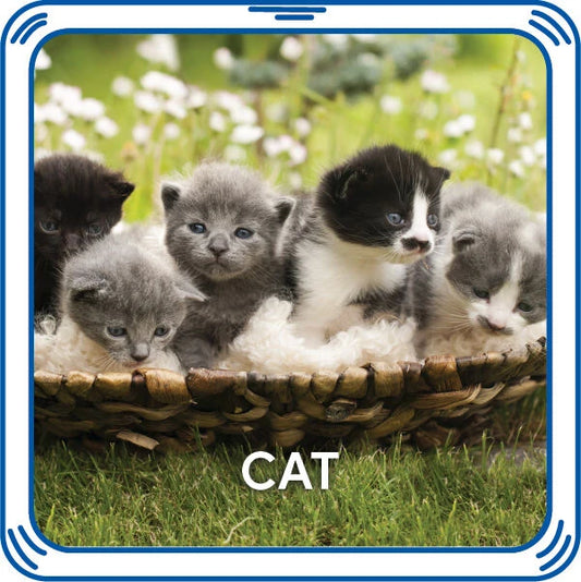 Kitty 5-in-1 Sound for Stuffed Animals | Build-A-Bear® - US 9959