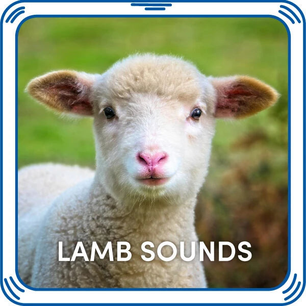 Lamb Sounds for Stuffed Animals | Build-A-Bear® - US 4099